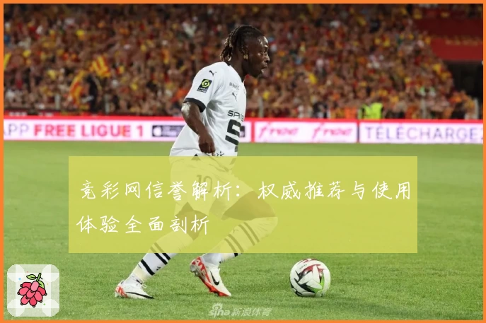 竞彩网信誉解析:权威推荐与使用体验全面剖析