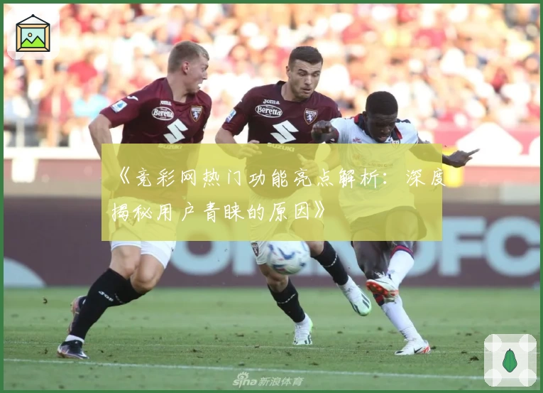 《竞彩网热门功能亮点解析:深度揭秘用户青睐的原因》
